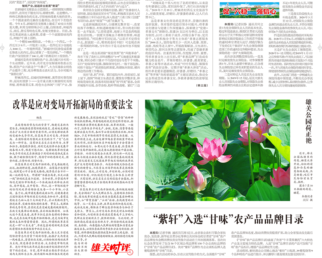 嘉峪關日報掛失登報遺失聲明公告