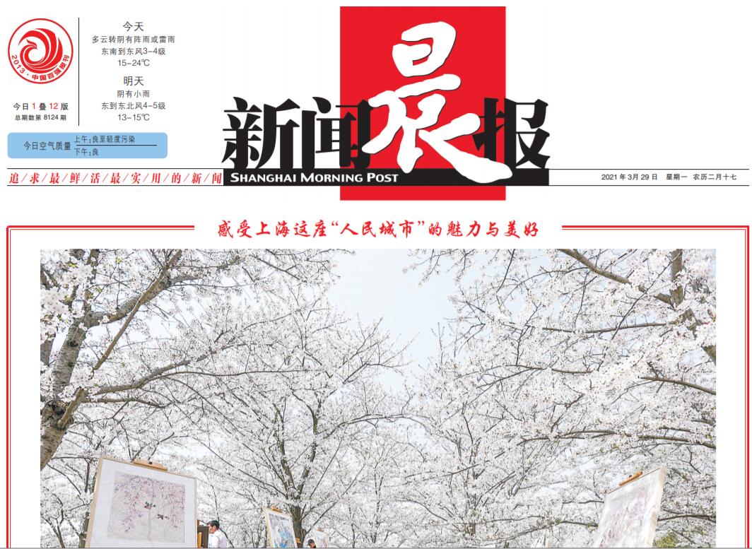 新聞晨報(bào)登報(bào)掛失