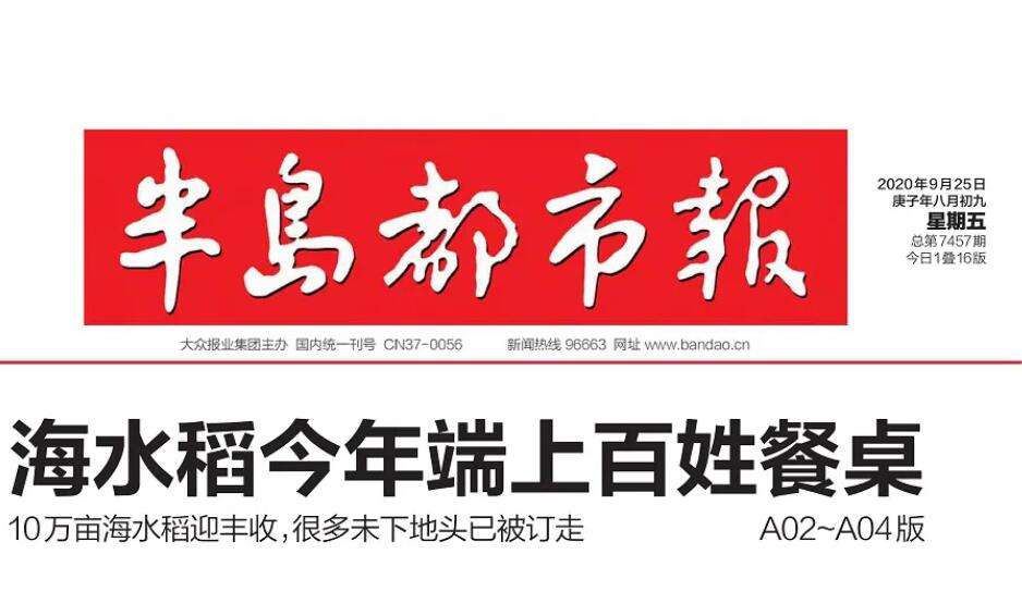 青島報(bào)社登報(bào)掛失 青島報(bào)社登報(bào)掛失