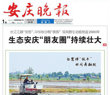 安慶晚報(bào)登報(bào)掛失遺失聲明公告 安慶晚報(bào)登報(bào)掛失遺失聲明公告